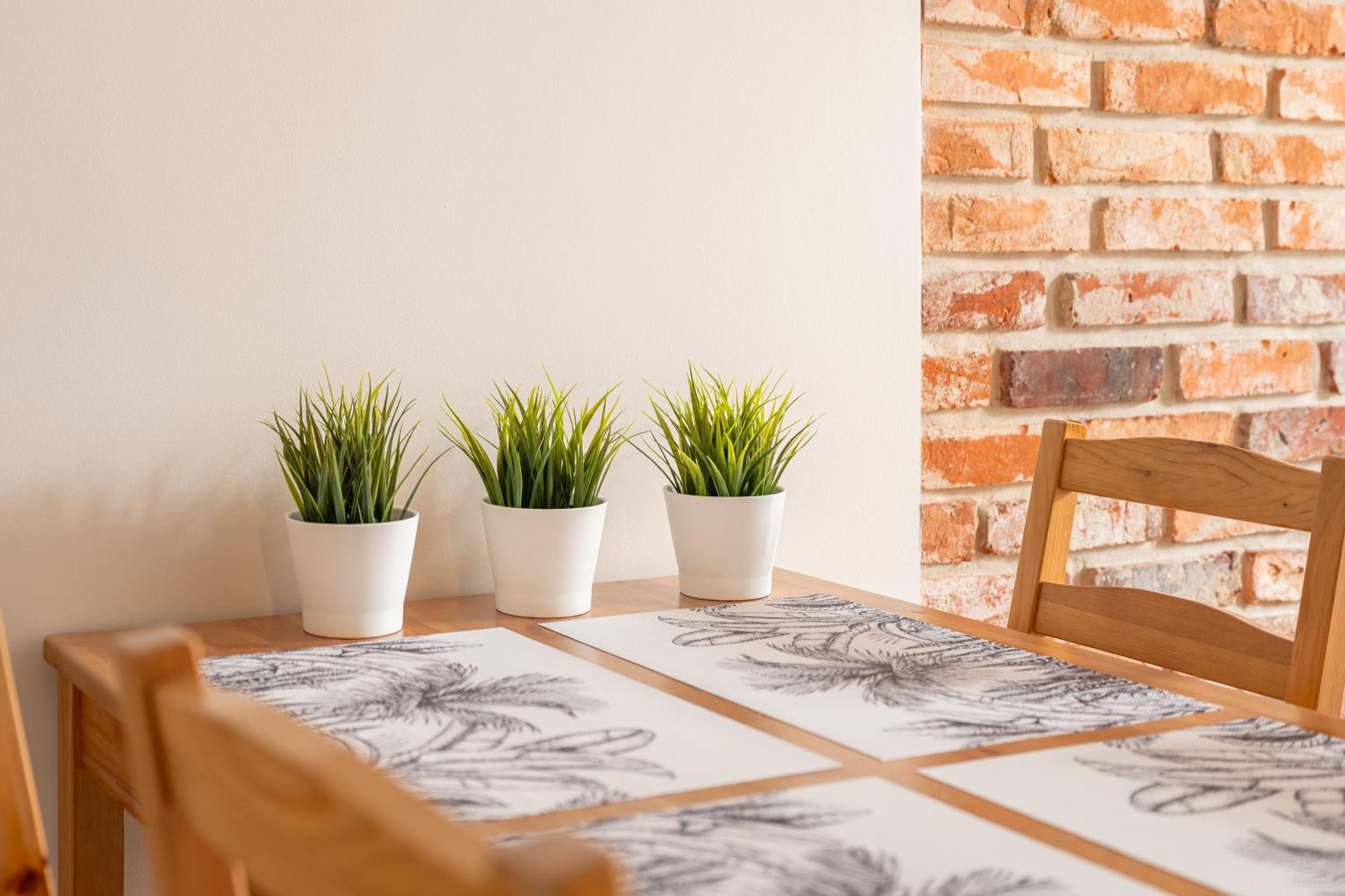 Klimatyzowane Apartamenty Stary Torun By Rentoom ภายนอก รูปภาพ